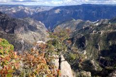 Divisadero, Copper Canyon, Chihuahua, Mexiko 2023