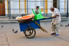 Ein transportabler Markstand! Nicaragua 2024