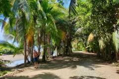 Ein "schattiger" Start in den Marinas Ballens NP, Costa Rica 2025