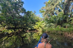 Mangrovenpaddeln am Playa Blanca, Osa, Costa Rica 2025