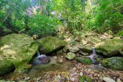 Der Wanderweg Nr. 3 führt über zwei Wasserfälle. Eco Jungle Lodge, La Ceiba, Honduras, 2025