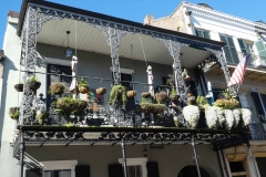 New-Orleans-11