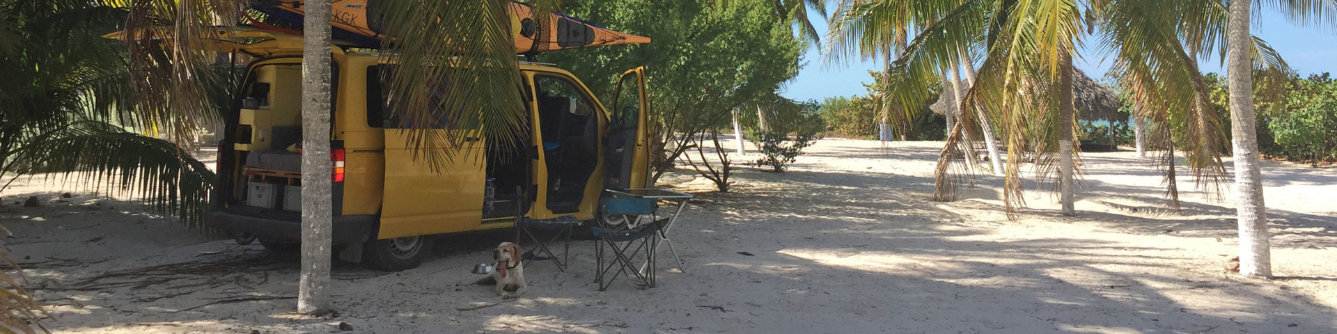 Im Vw-Bus durch Mexiko mit Kajak und Hund