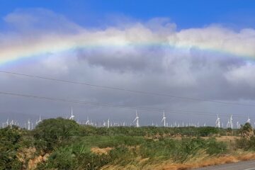 Windparks ind der Union Hidalgo, Mexiko 2023